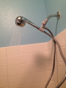 How to replace a shower head | Did That Just Happen Blog